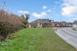 Photo 41- click for photo gallery